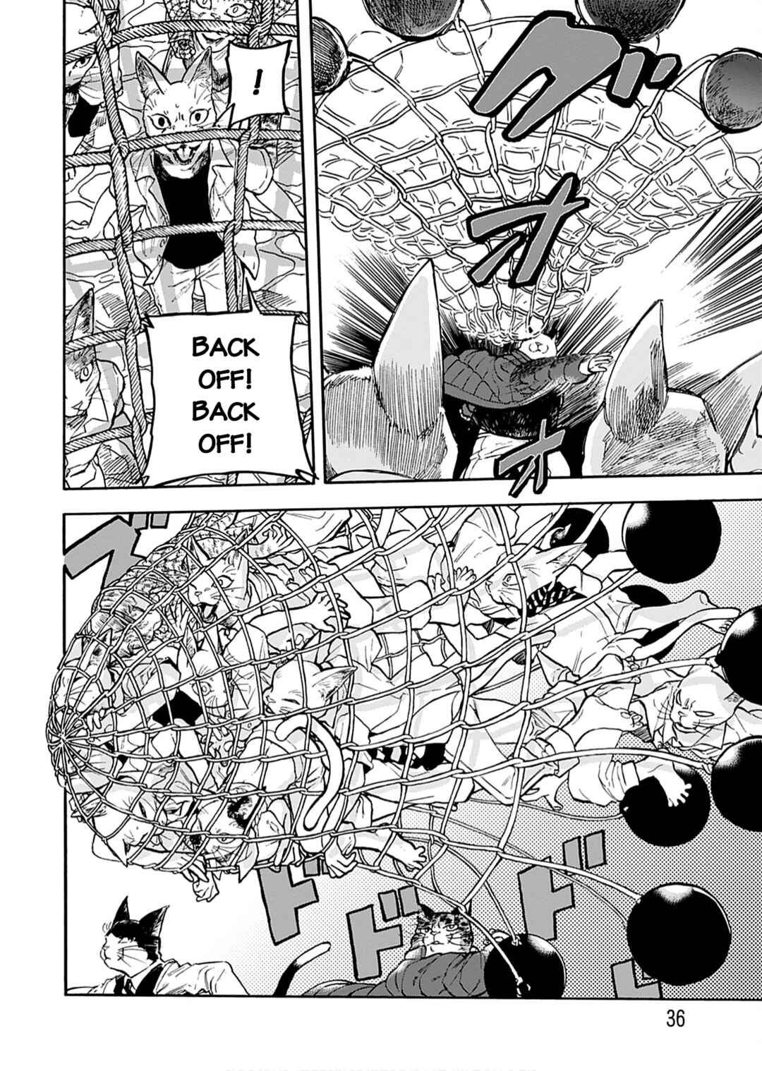 Page 18 Chapter 2 Buddy Cat