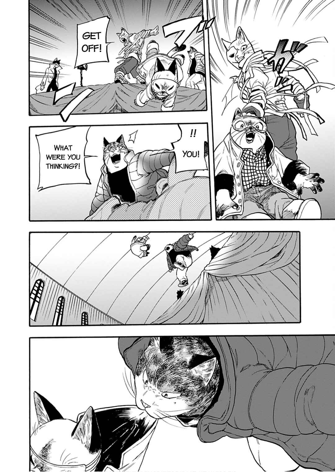 Page 12 Chapter 3 Buddy Cat
