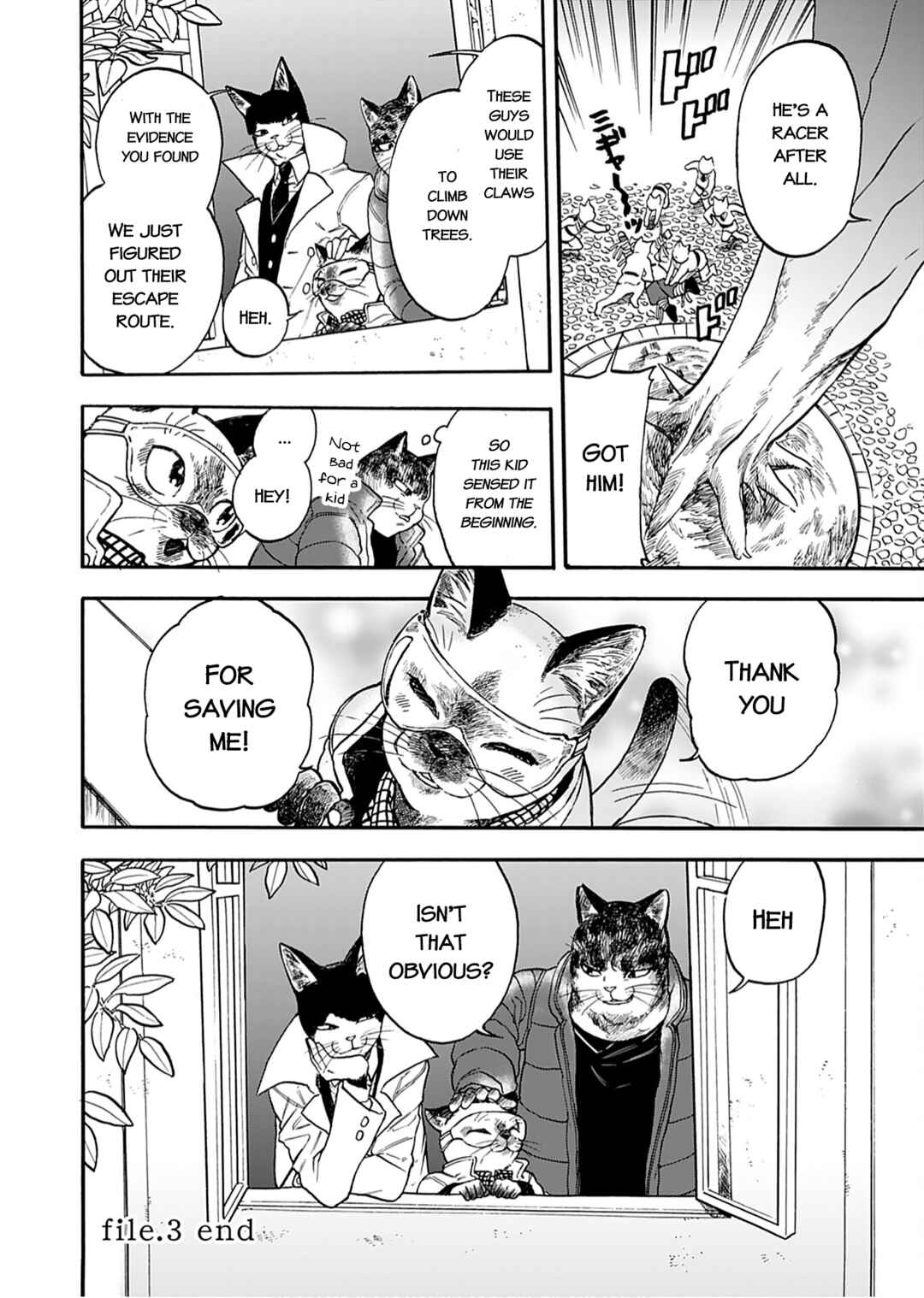 Page 16 Chapter 3 Buddy Cat