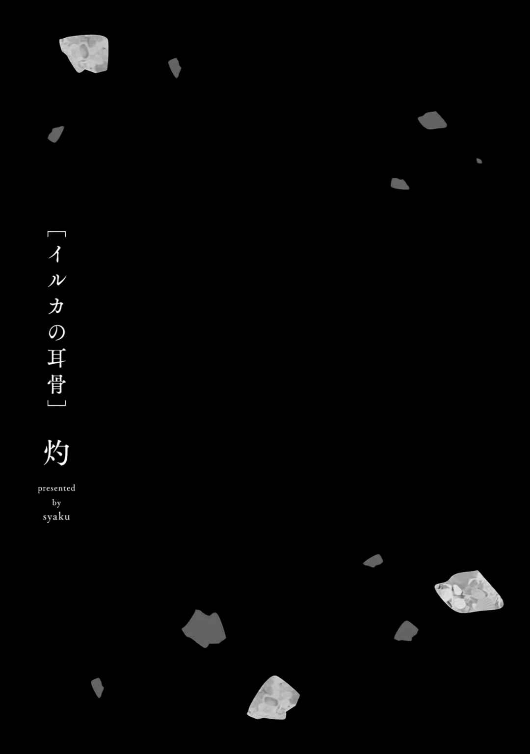 Page 29 Chapter 5 Iruka no Jikotsu