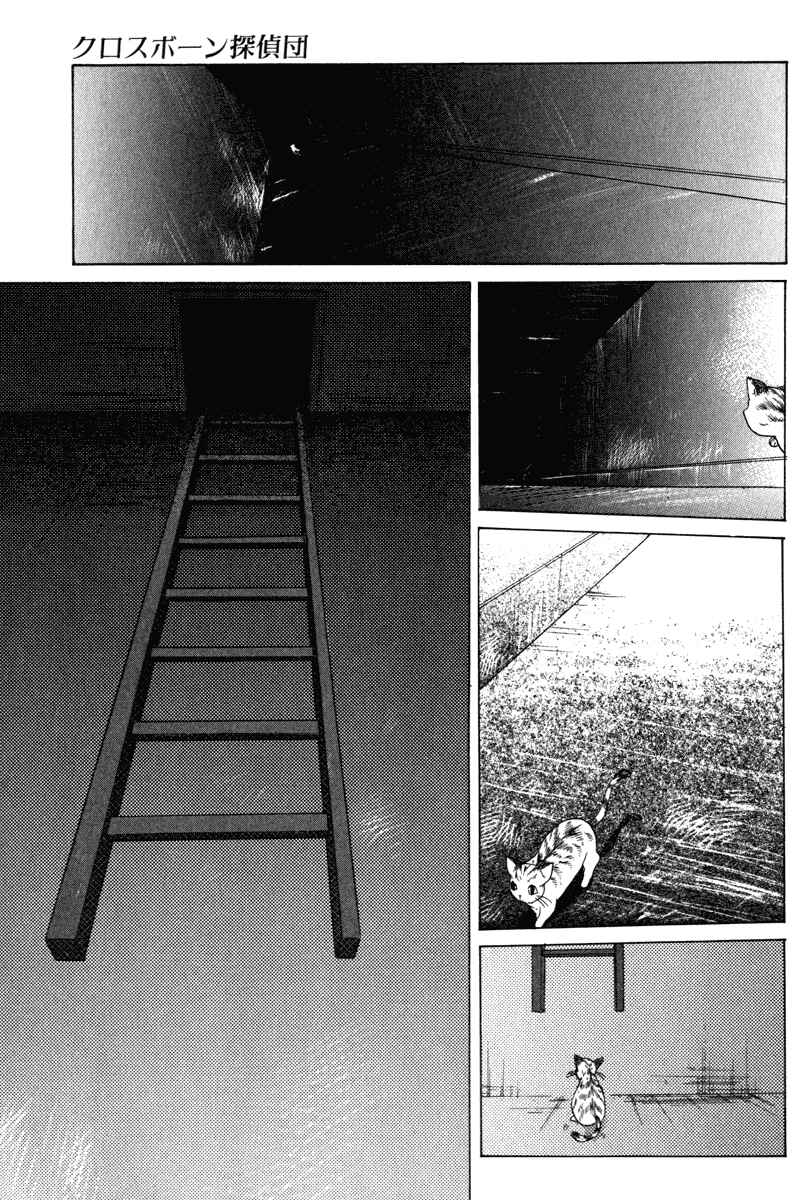 Page 21 Chapter 4 Crossbone Tanteidan