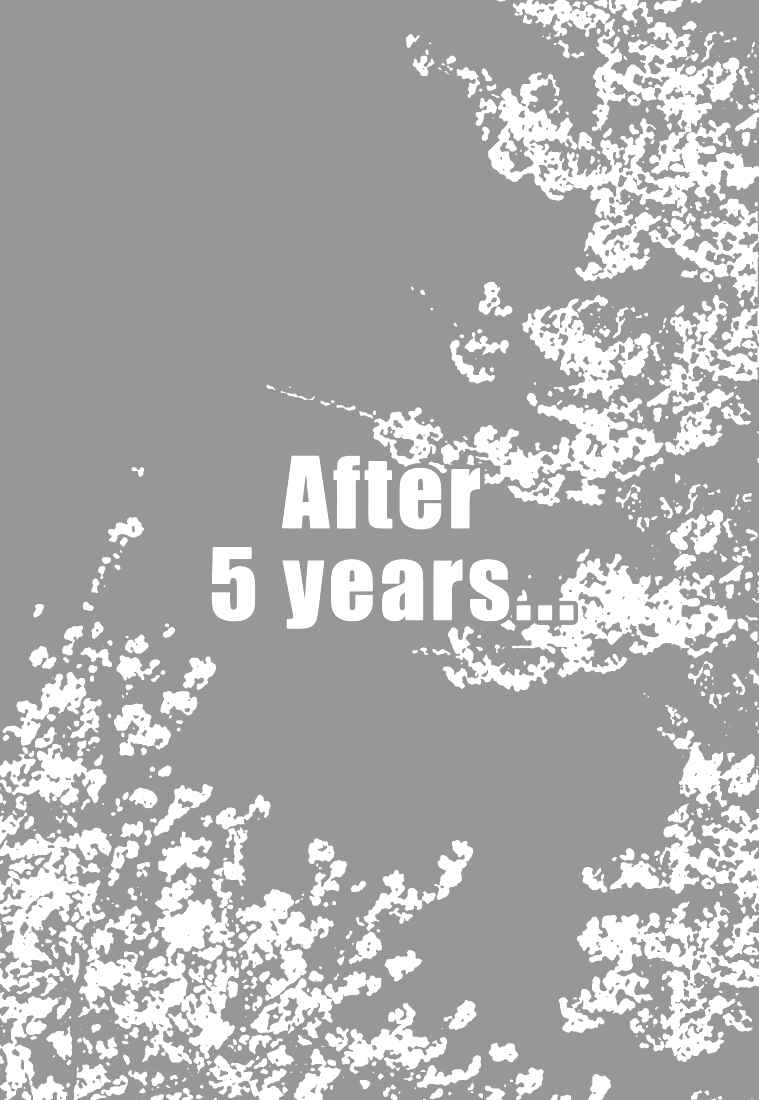 Page 3 Chapter Unknown_787e [switch] - After 5 Years... (Doujinshi)