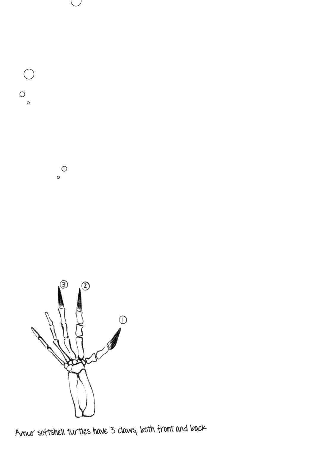 Page 24 Chapter 57 Houkago Teibou Nisshi
