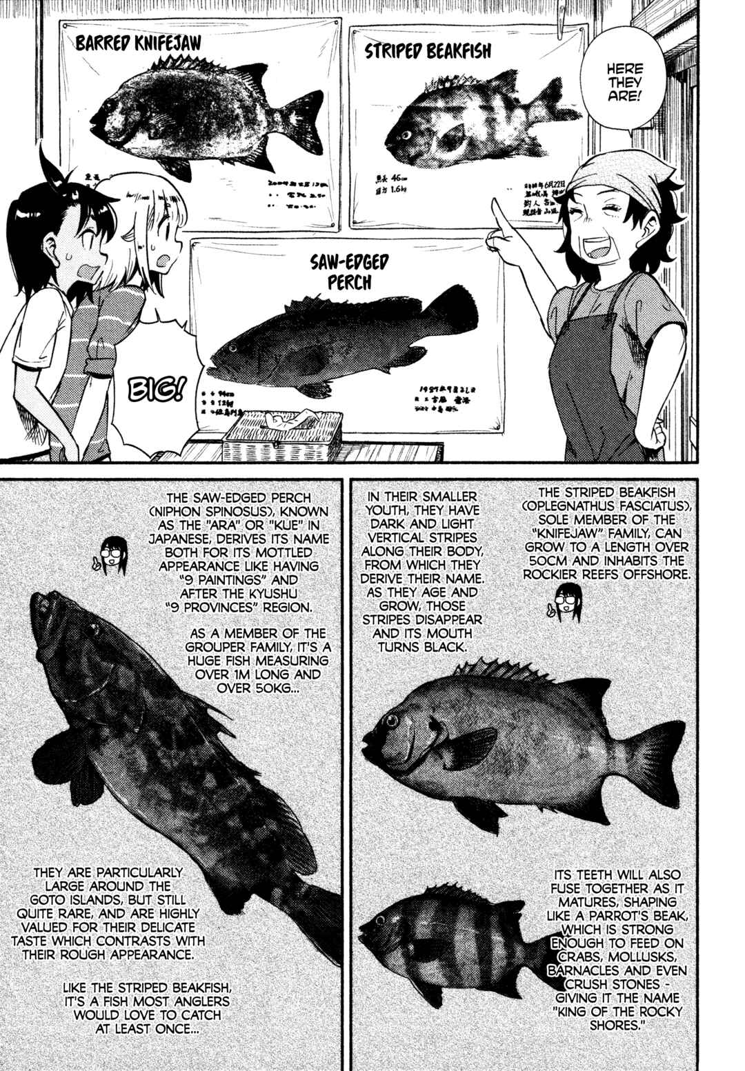 Page 11 Chapter 40 Houkago Teibou Nisshi