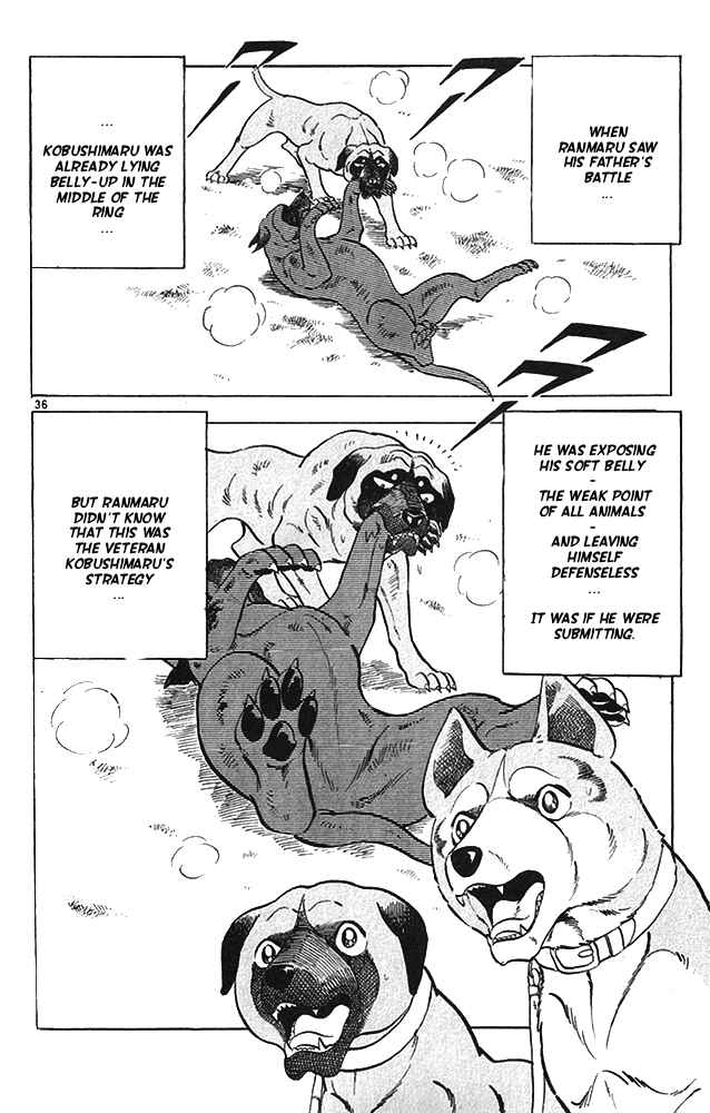 Page 35 Chapter 13 Fangs of White Lotus