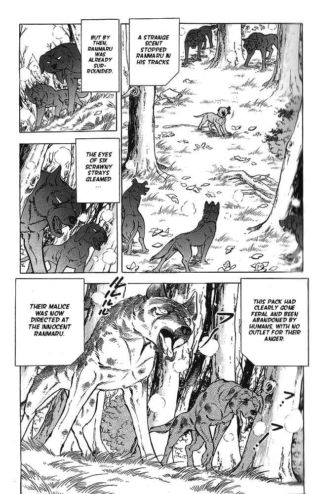 Page 13 Chapter 11 Fangs of White Lotus