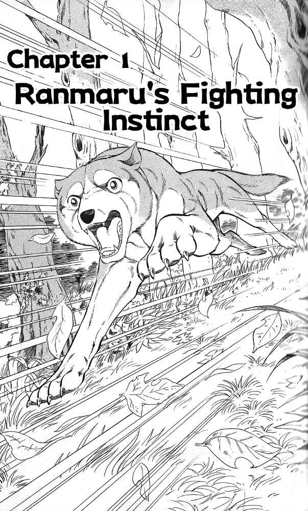 Page 5 Chapter 11 Fangs of White Lotus