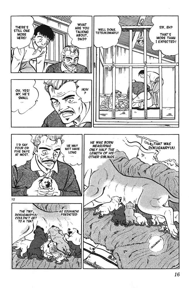 Page 17 Chapter 17 Fangs of White Lotus