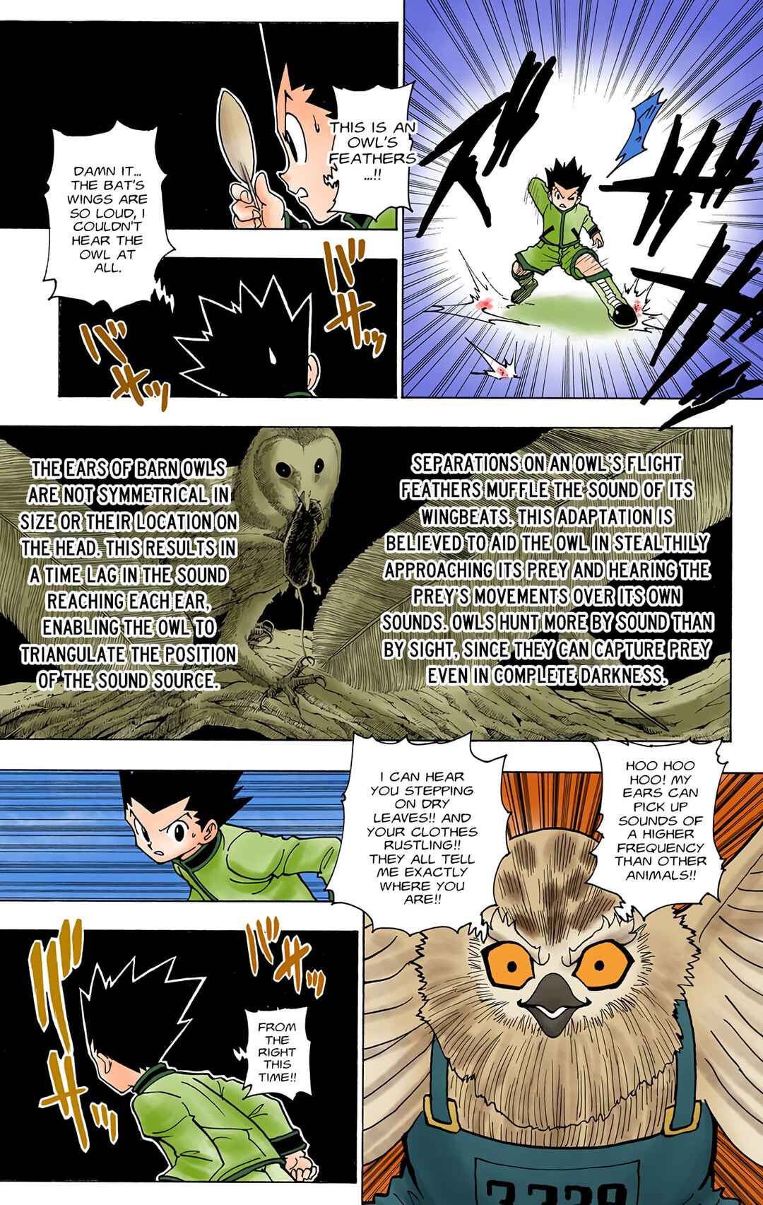 Page 3 Chapter 232 HUNTER x HUNTER (Official Colored)