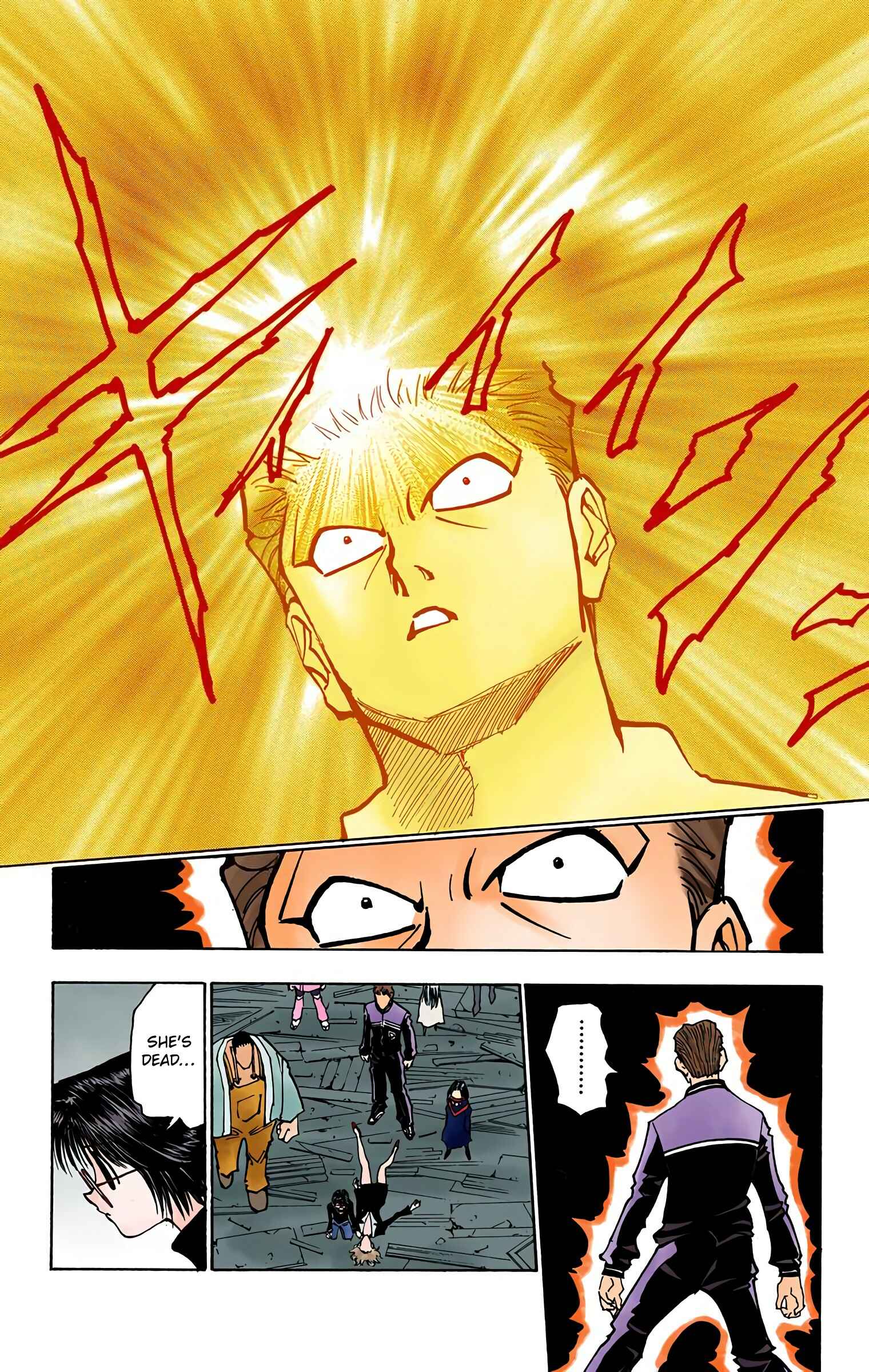 Page 13 Chapter 119 HUNTER x HUNTER (Official Colored)