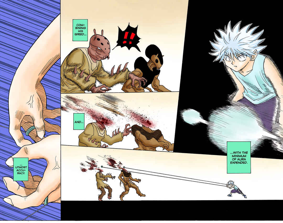 Page 13 Chapter 269 HUNTER x HUNTER (Official Colored)