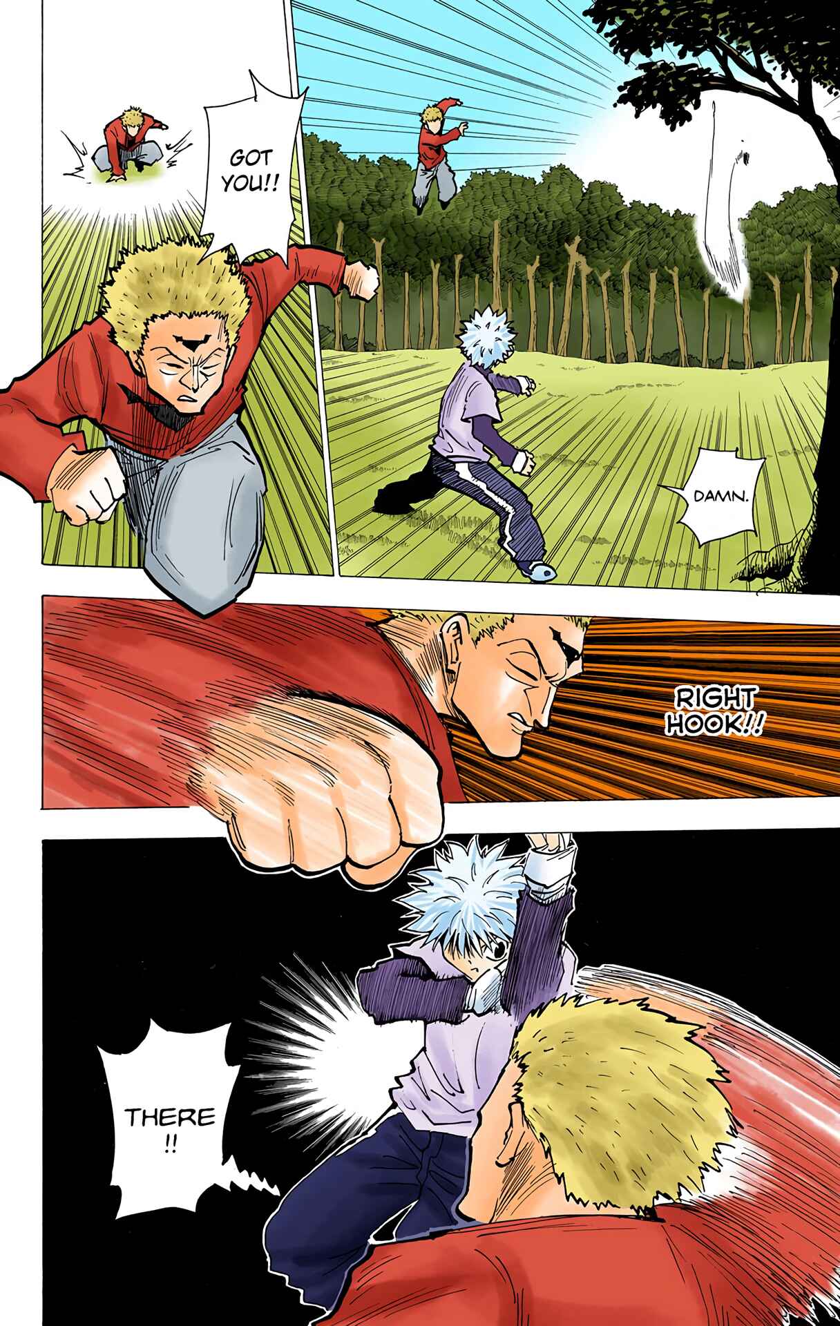 Page 10 Chapter 178 HUNTER x HUNTER (Official Colored)
