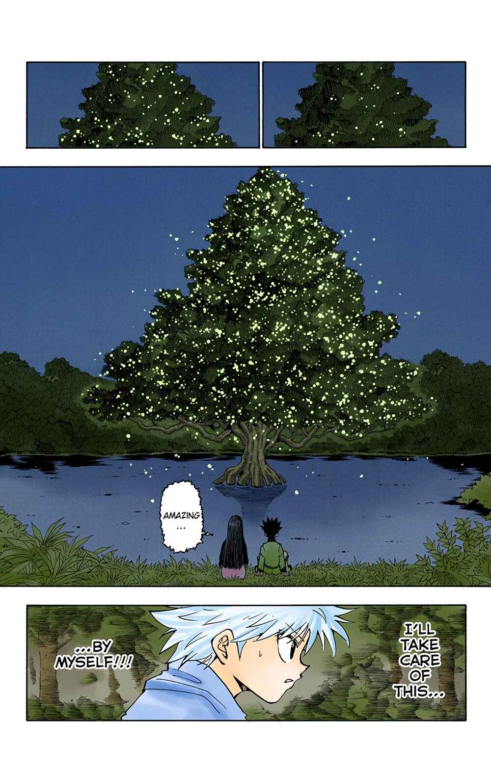 Page 12 Chapter 218 HUNTER x HUNTER (Official Colored)