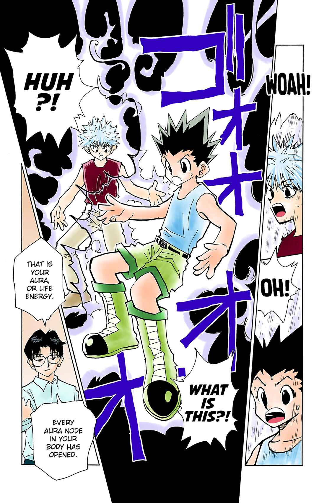 Page 10 Chapter 48 HUNTER x HUNTER (Official Colored)