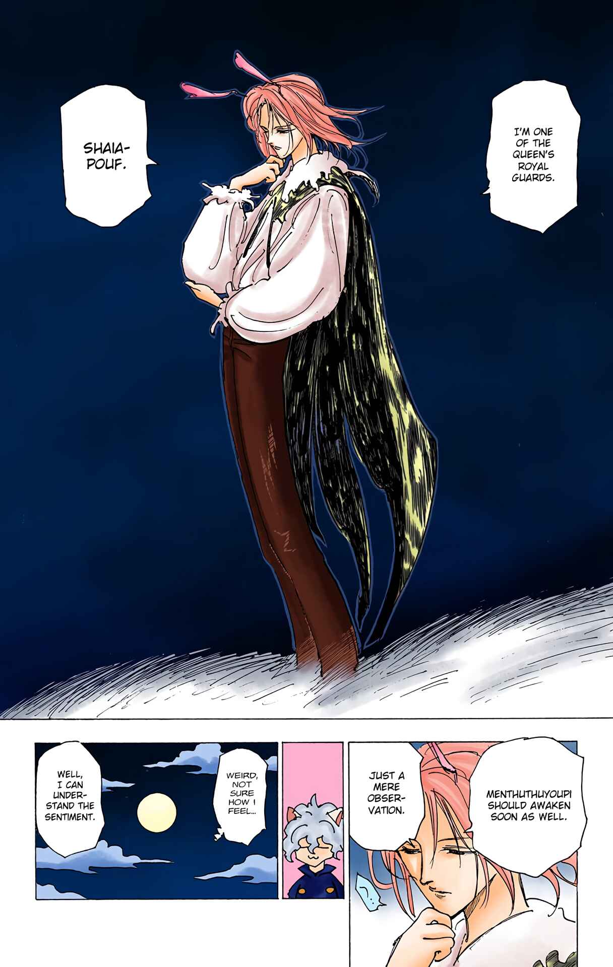Page 10 Chapter 202 HUNTER x HUNTER (Official Colored)