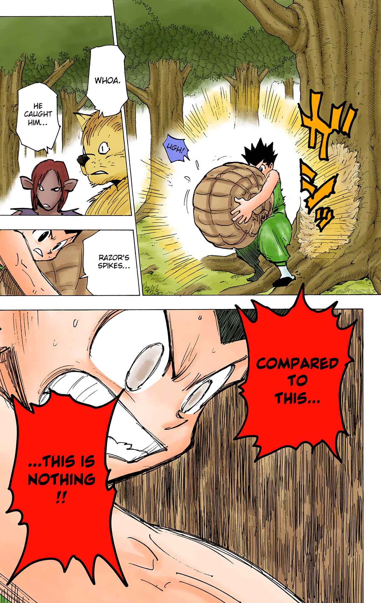 Page 12 Chapter 195 HUNTER x HUNTER (Official Colored)