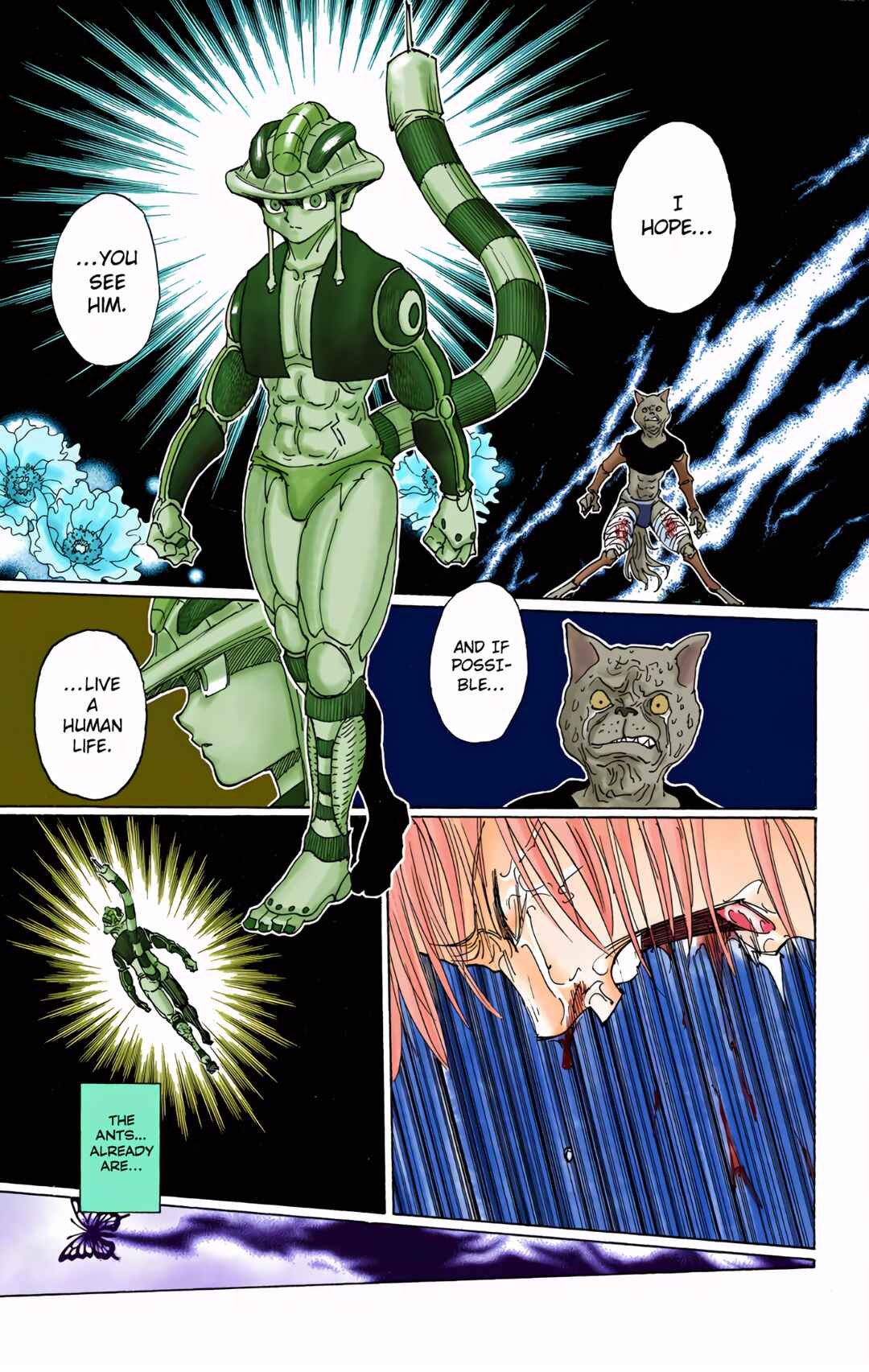 Page 14 Chapter 313 HUNTER x HUNTER (Official Colored)