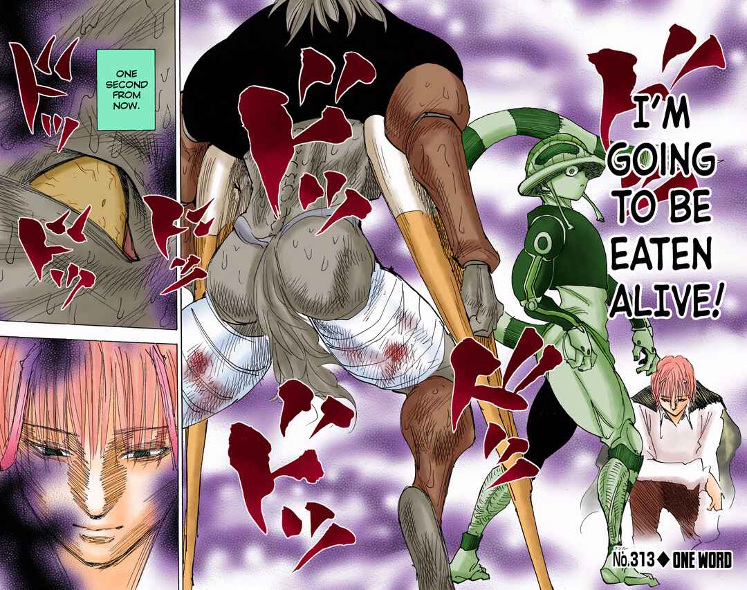 Page 2 Chapter 313 HUNTER x HUNTER (Official Colored)