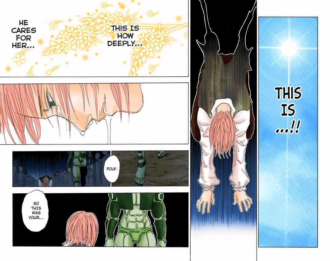 Page 8 Chapter 313 HUNTER x HUNTER (Official Colored)