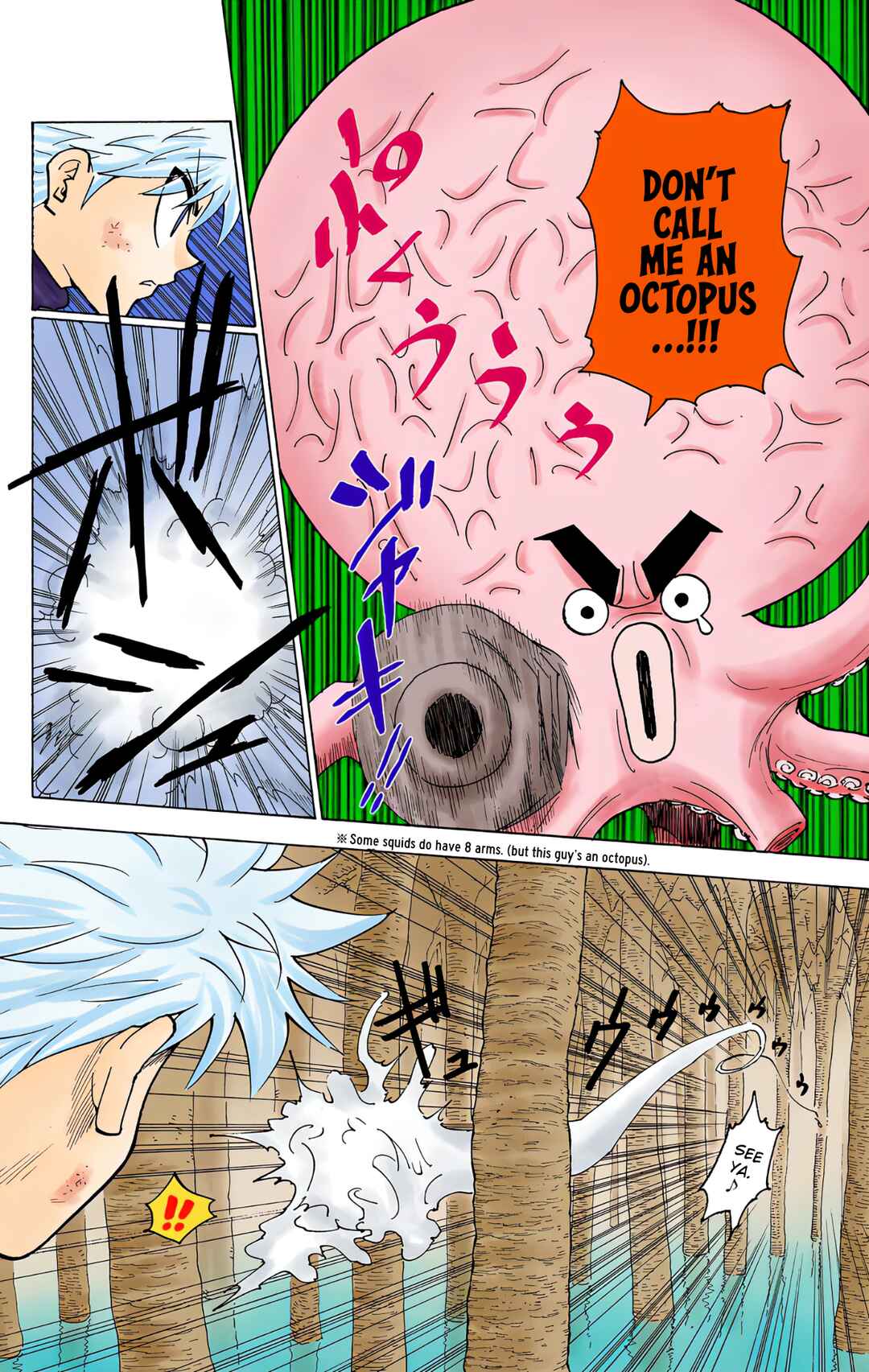 Page 4 Chapter 238 HUNTER x HUNTER (Official Colored)