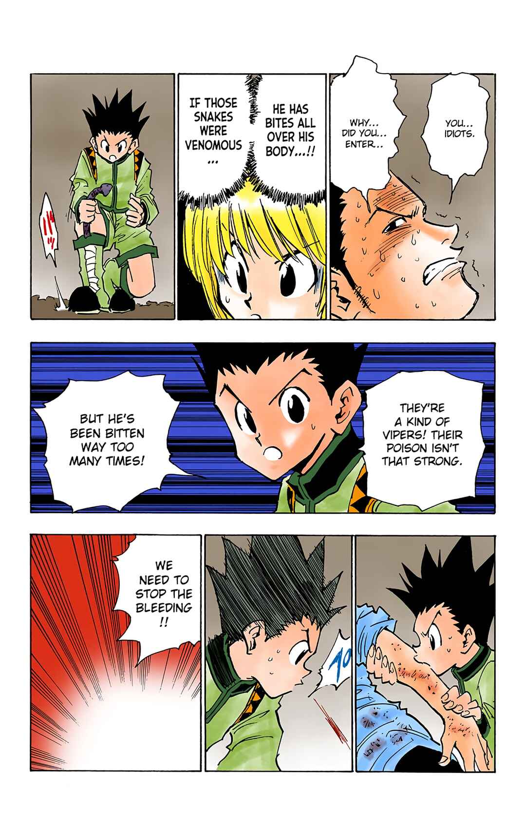 Page 17 Chapter 30 HUNTER x HUNTER (Official Colored)