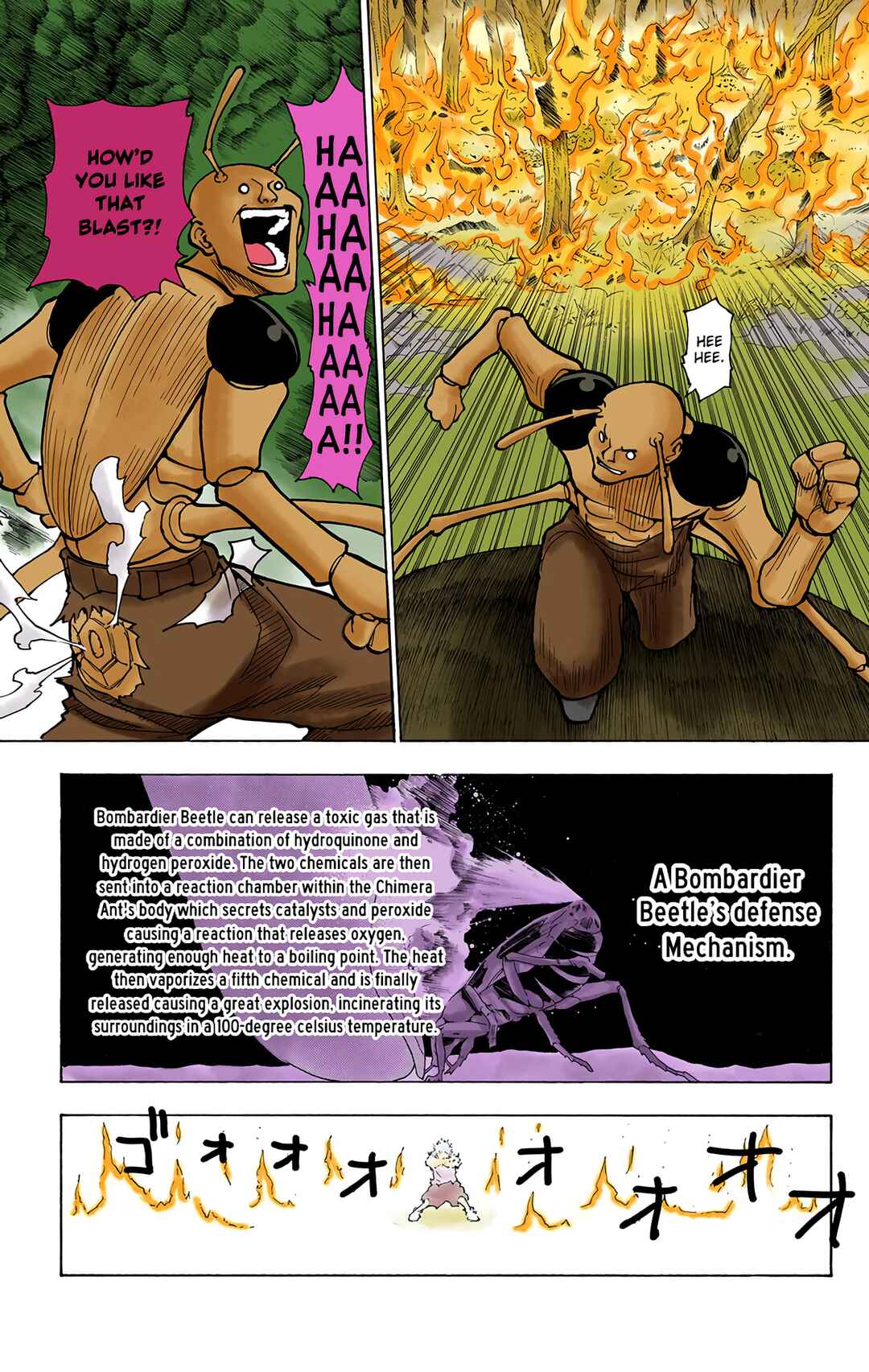 Page 13 Chapter 236 HUNTER x HUNTER (Official Colored)