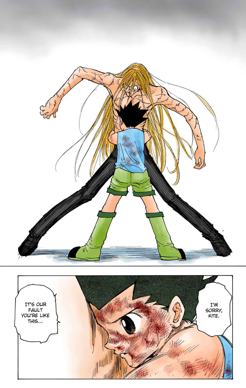Page 11 Chapter 222 HUNTER x HUNTER (Official Colored)