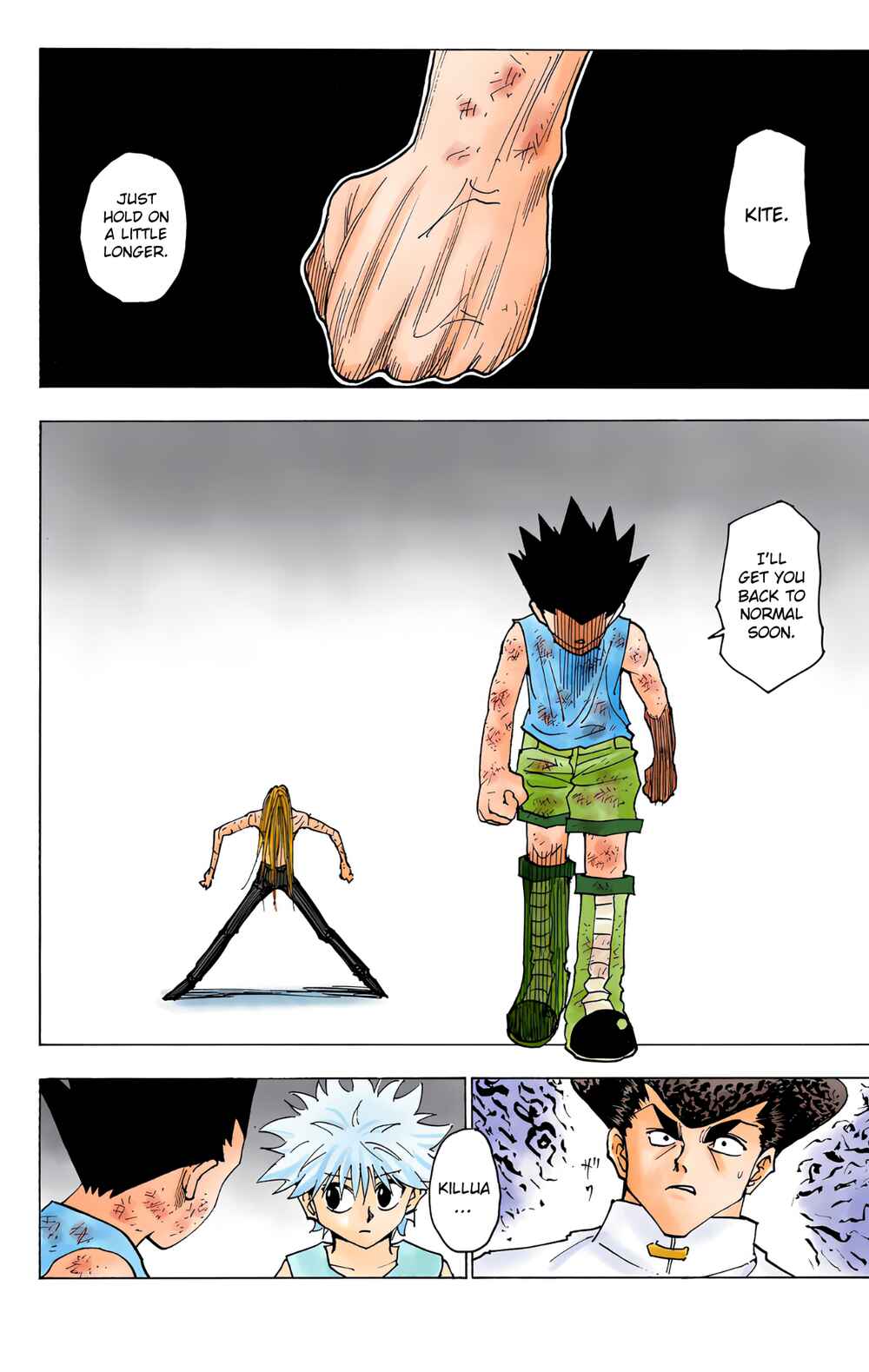 Page 14 Chapter 222 HUNTER x HUNTER (Official Colored)