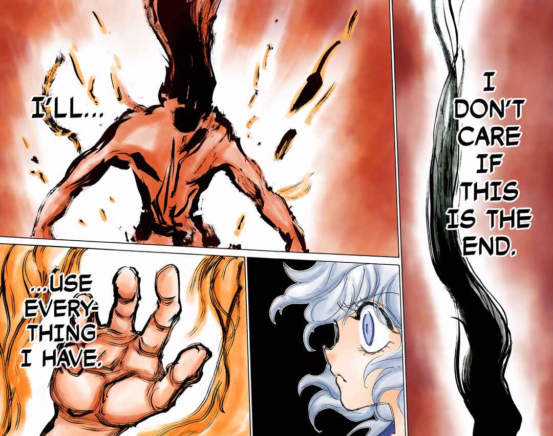 Page 14 Chapter 305 HUNTER x HUNTER (Official Colored)