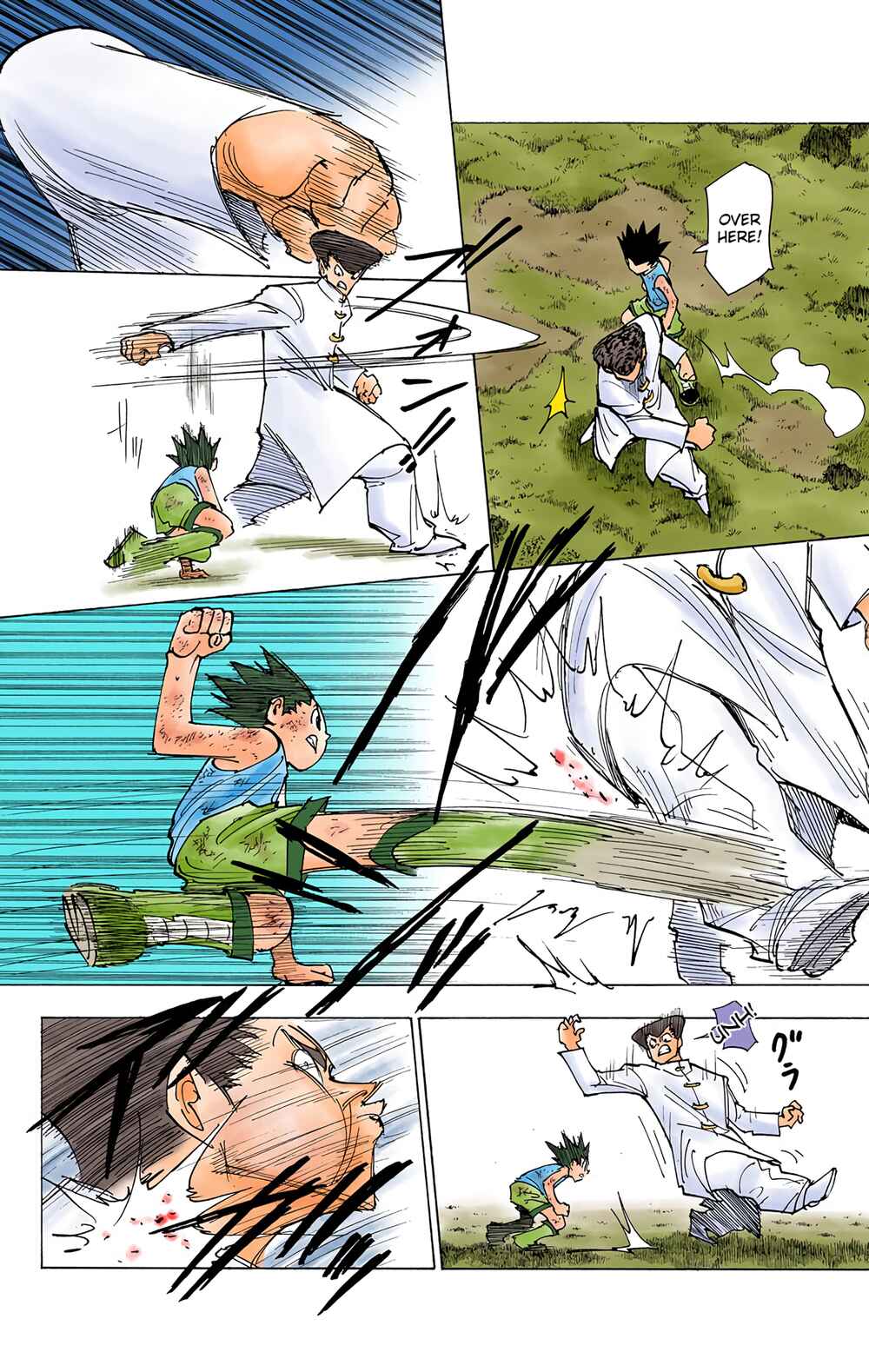 Page 2 Chapter 208 HUNTER x HUNTER (Official Colored)