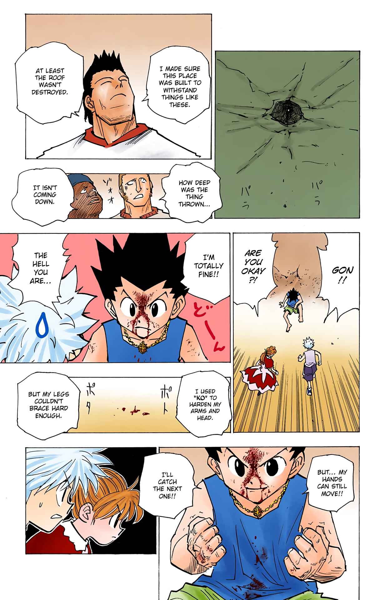 Page 11 Chapter 163 HUNTER x HUNTER (Official Colored)
