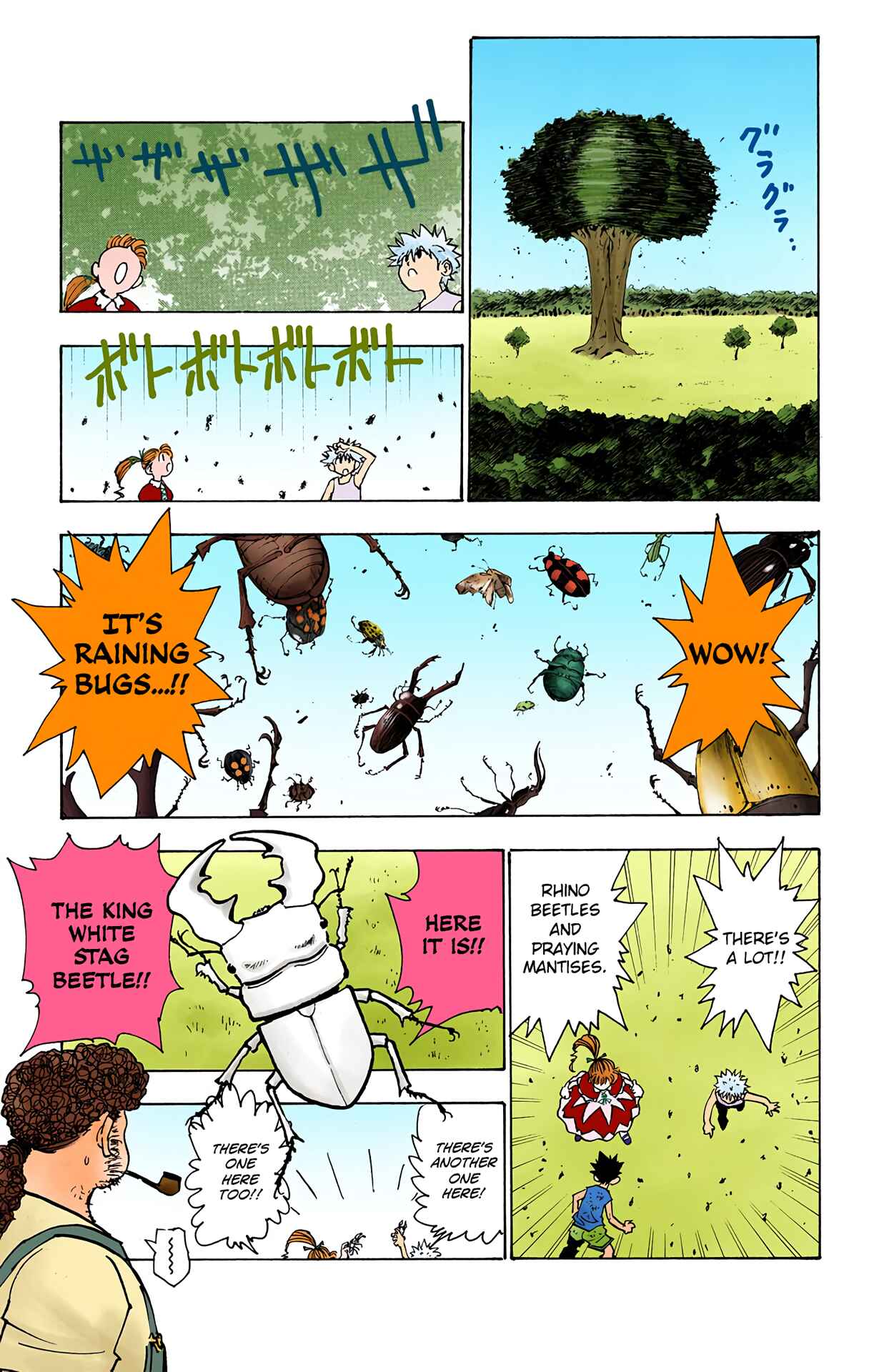 Page 9 Chapter 150 HUNTER x HUNTER (Official Colored)