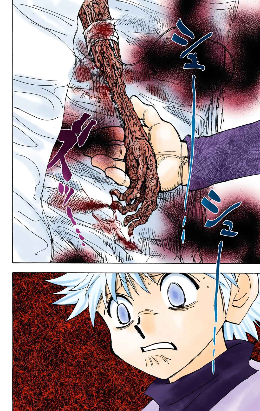 Page 10 Chapter 333 HUNTER x HUNTER (Official Colored)