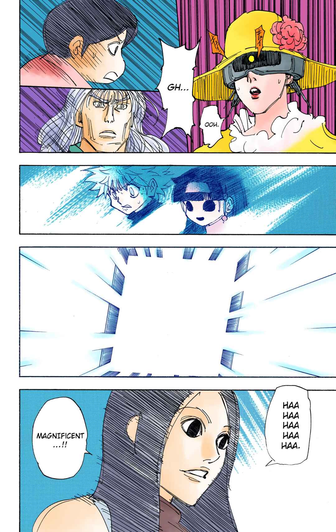 Page 13 Chapter 333 HUNTER x HUNTER (Official Colored)