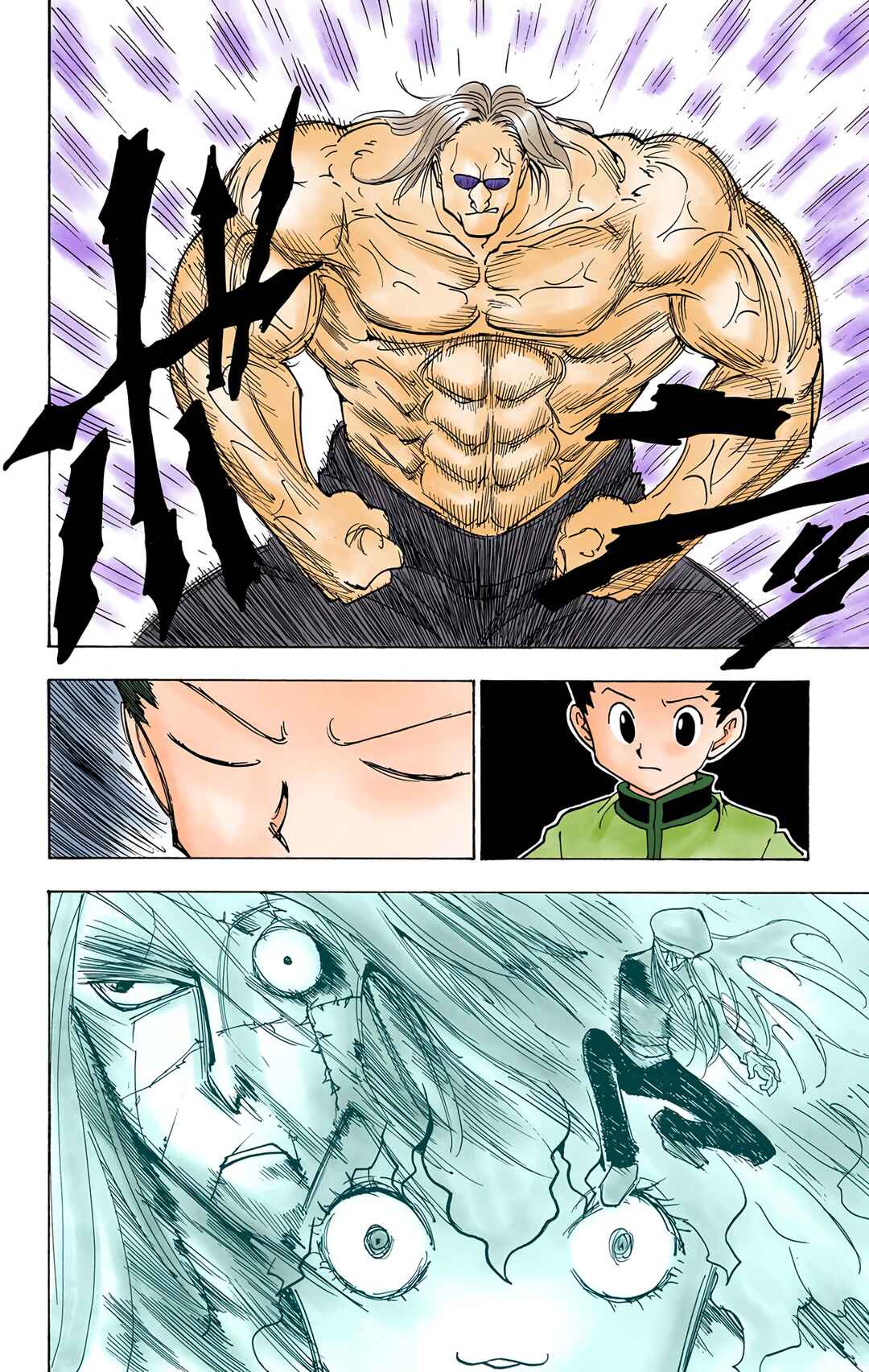 Page 10 Chapter 223 HUNTER x HUNTER (Official Colored)