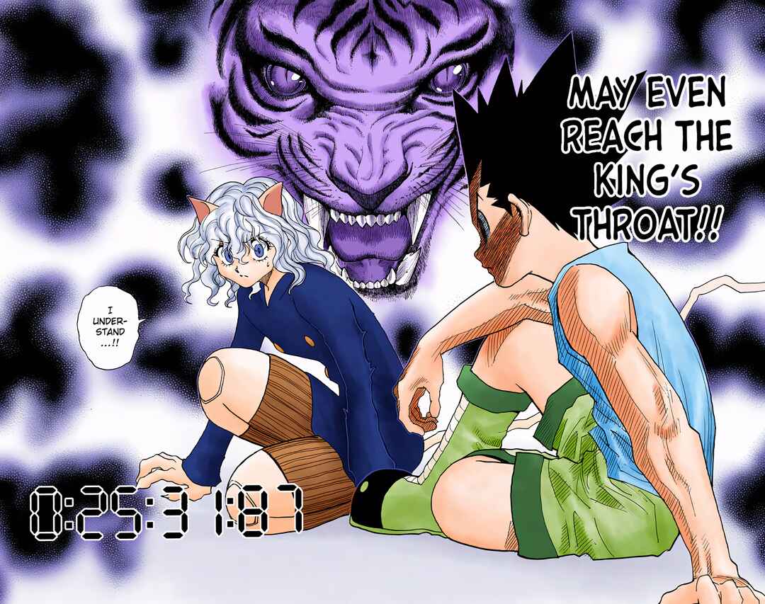 Page 14 Chapter 295 HUNTER x HUNTER (Official Colored)