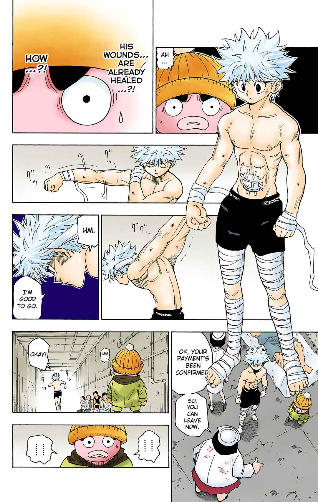 Page 7 Chapter 255 HUNTER x HUNTER (Official Colored)