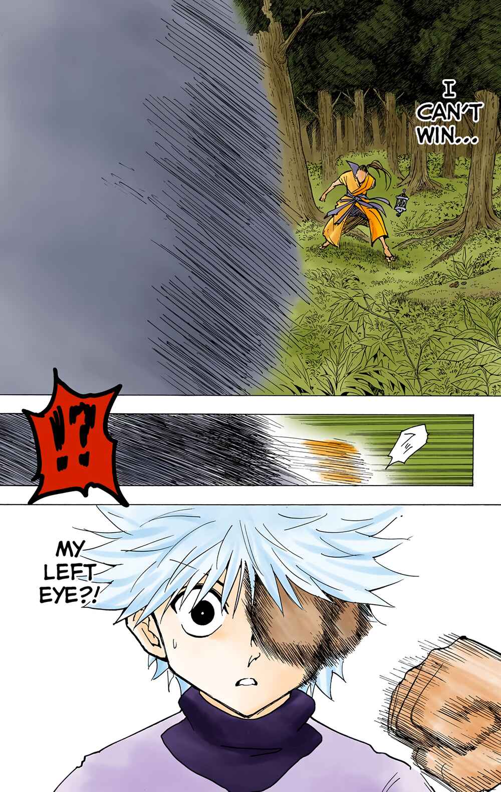 Page 10 Chapter 212 HUNTER x HUNTER (Official Colored)
