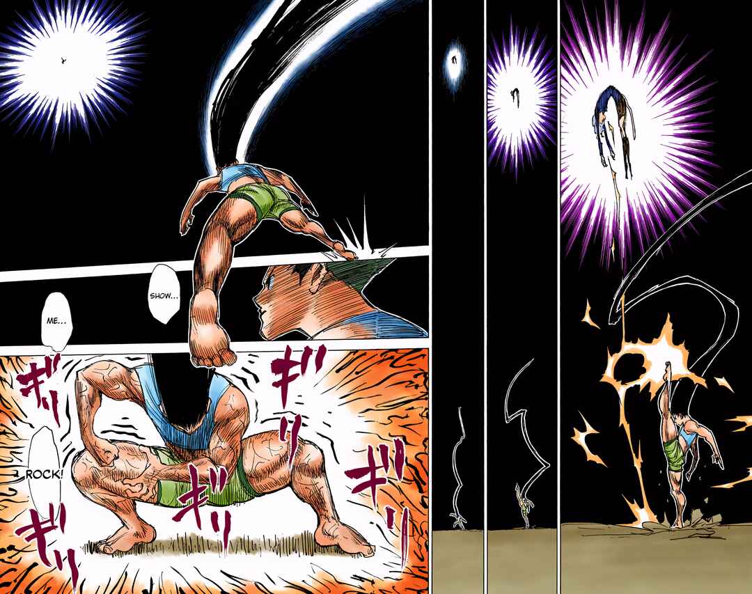 Page 9 Chapter 306 HUNTER x HUNTER (Official Colored)