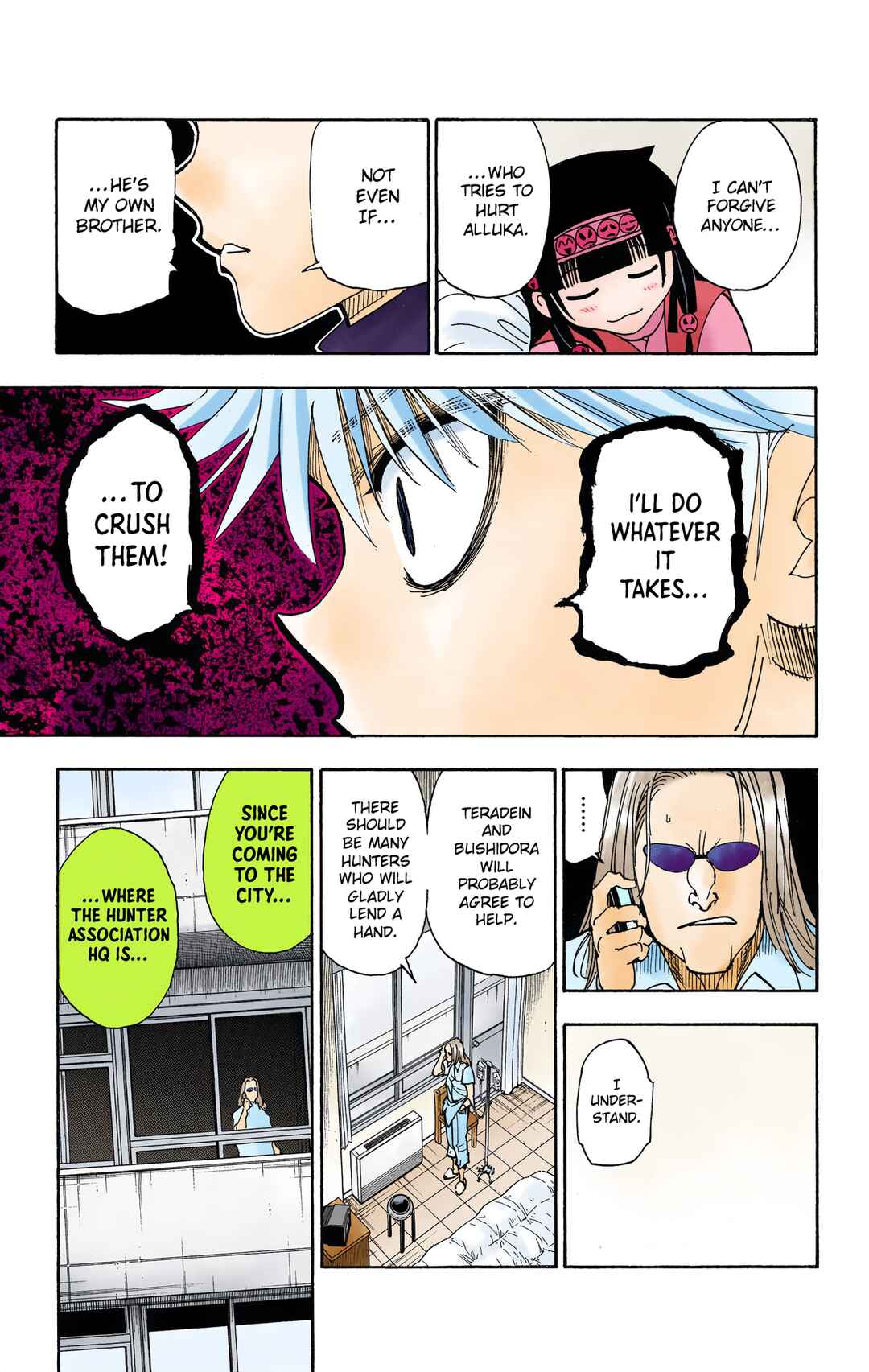 Page 17 Chapter 328 HUNTER x HUNTER (Official Colored)