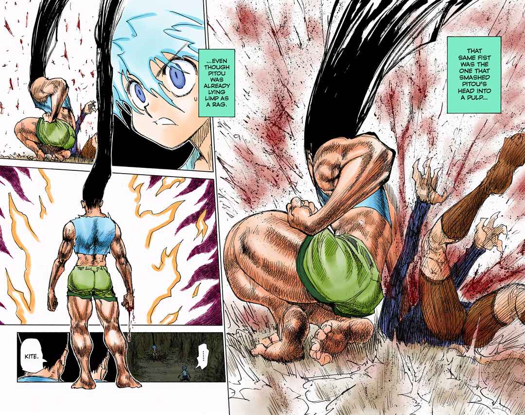 Page 3 Chapter 307 HUNTER x HUNTER (Official Colored)