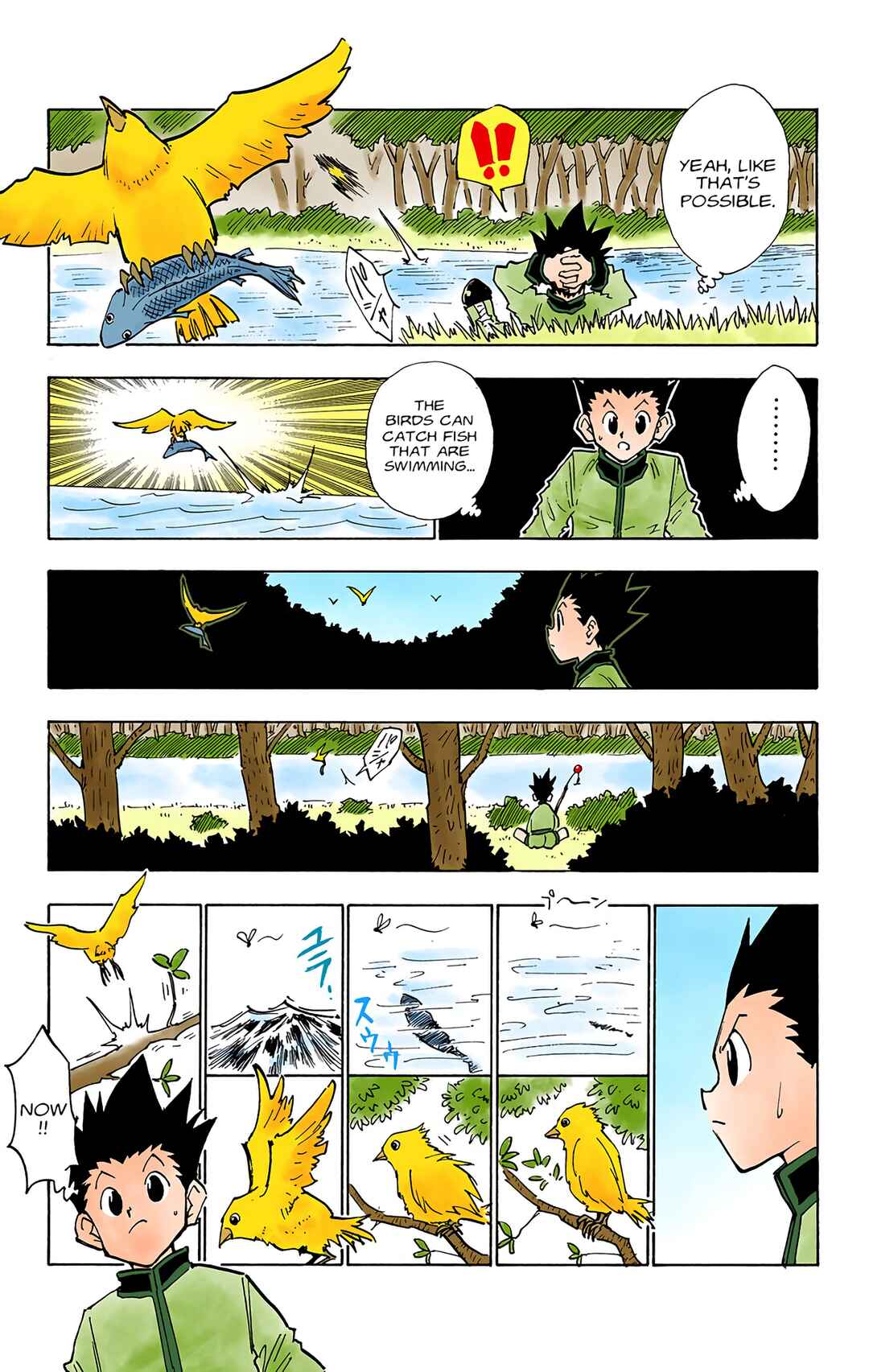 Page 17 Chapter 24 HUNTER x HUNTER (Official Colored)