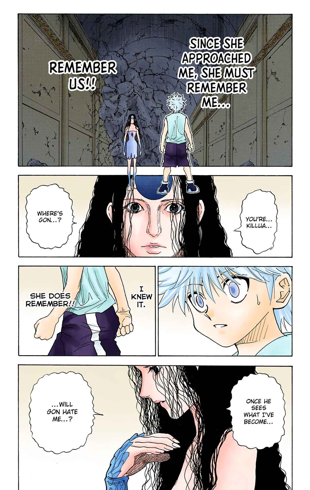 Page 9 Chapter 293 HUNTER x HUNTER (Official Colored)