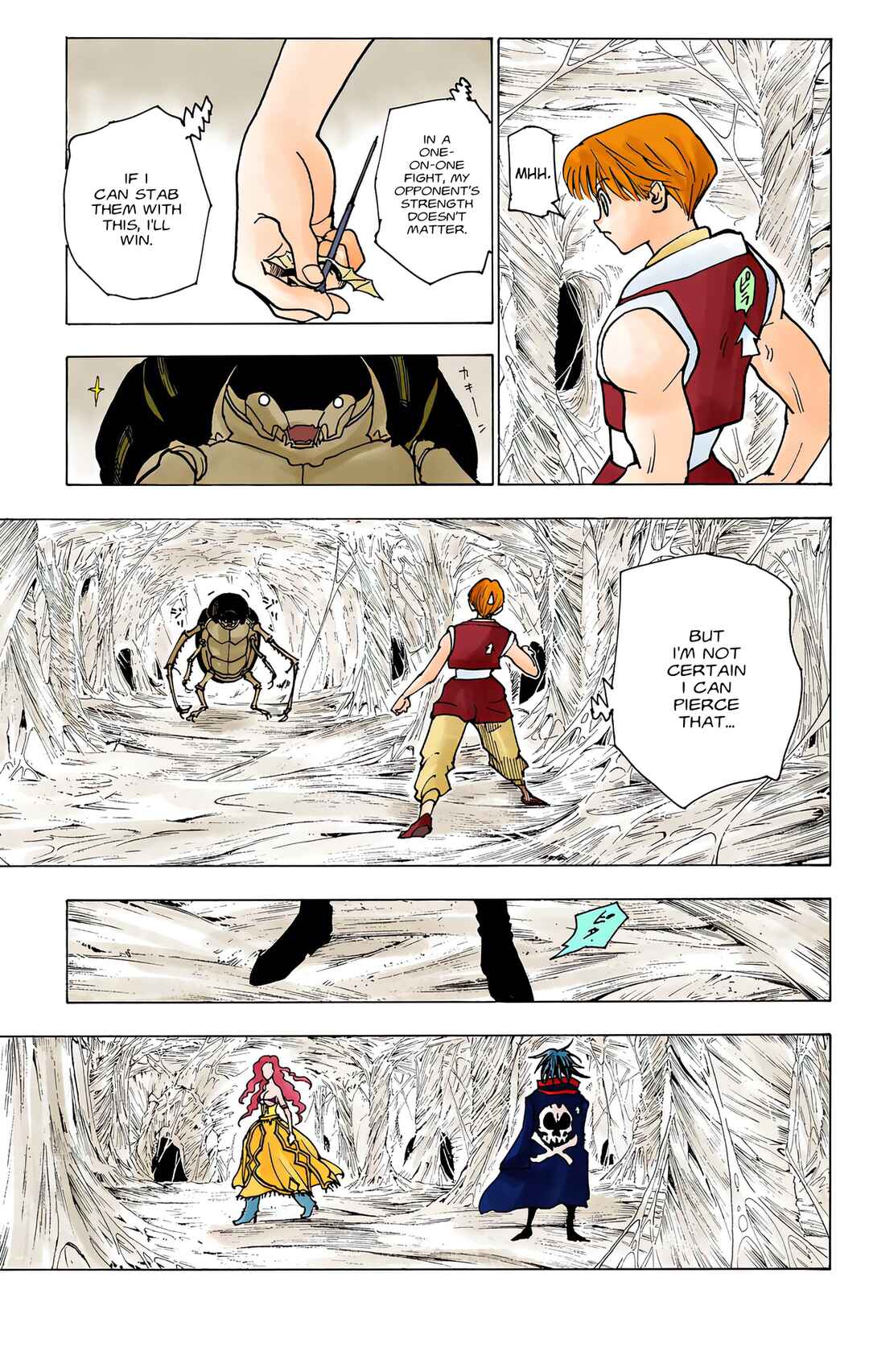 Page 13 Chapter 225 HUNTER x HUNTER (Official Colored)