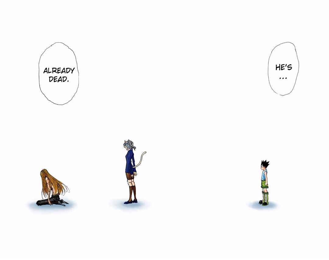 Page 13 Chapter 304 HUNTER x HUNTER (Official Colored)