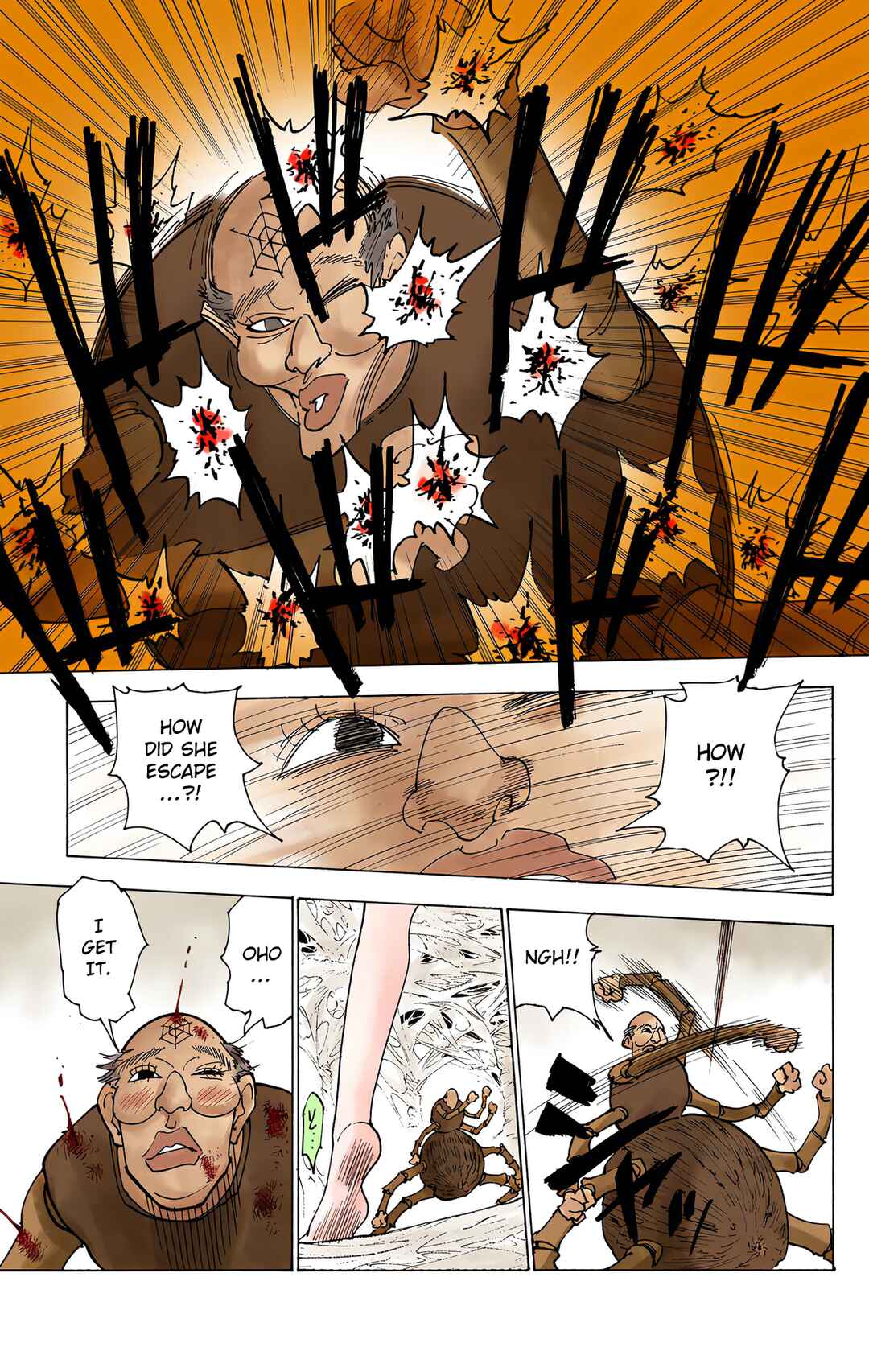 Page 13 Chapter 227 HUNTER x HUNTER (Official Colored)