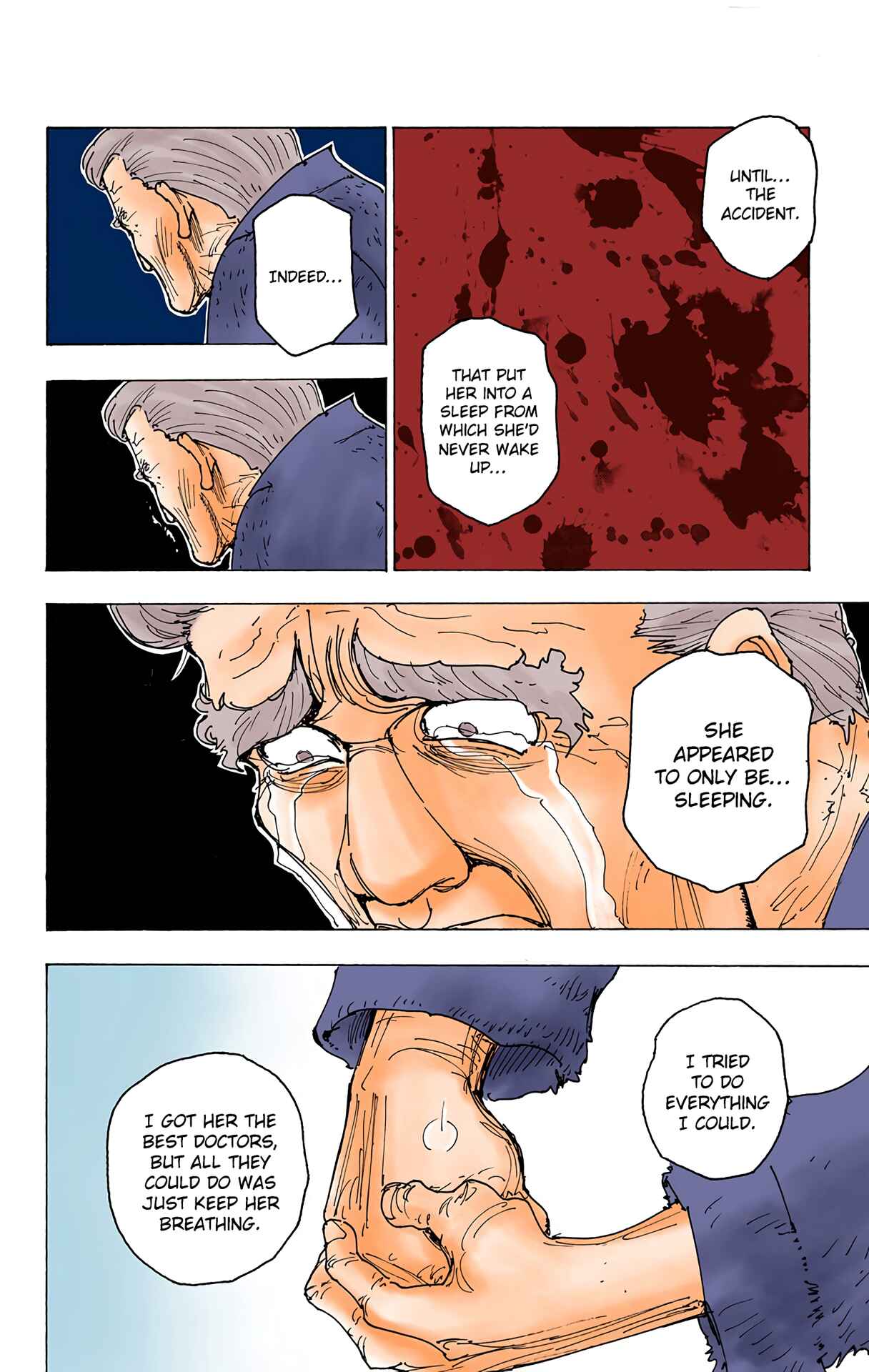 Page 14 Chapter 174 HUNTER x HUNTER (Official Colored)