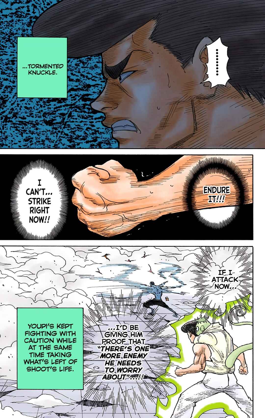 Page 13 Chapter 271 HUNTER x HUNTER (Official Colored)