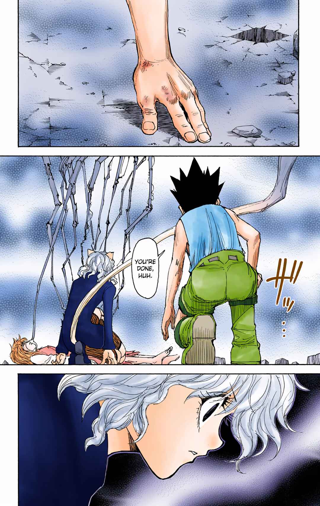 Page 8 Chapter 300 HUNTER x HUNTER (Official Colored)