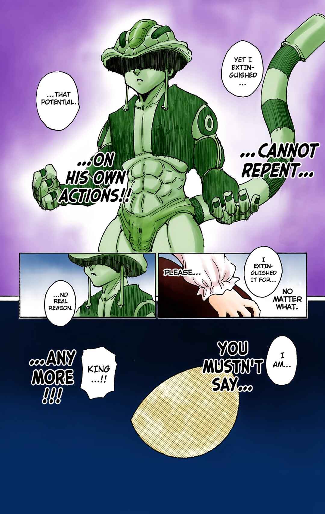 Page 14 Chapter 257 HUNTER x HUNTER (Official Colored)